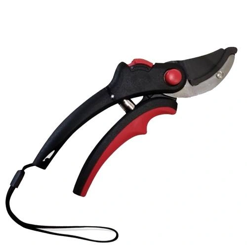 ps-200-01-ergo-image