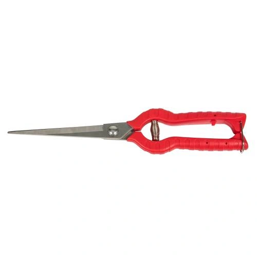 image-card/ps-240-01.5webp-slide