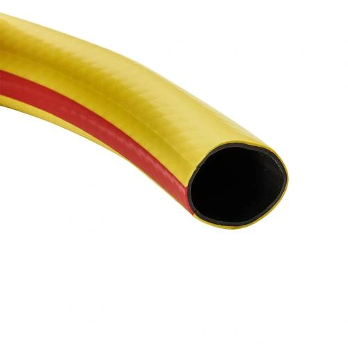 image-card/shlng-sdv-plv-cmf-12-30-m.2webp-slide