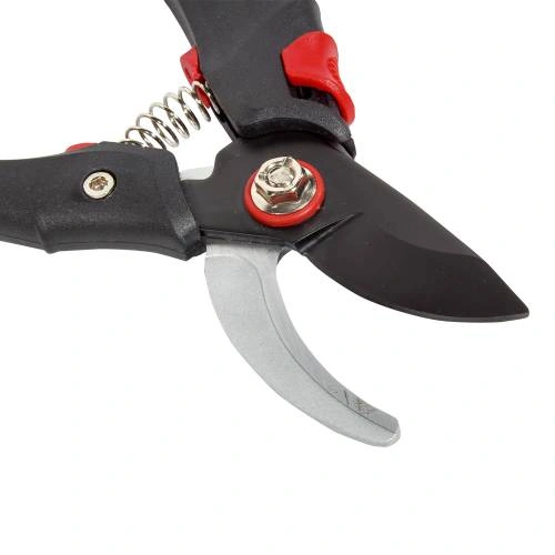 image-card/sktr-zb-prdch-vm-ps-205-01g.5webp-slide